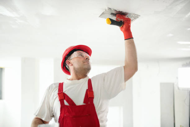 Best Exterior Painting  in Jackson, MI